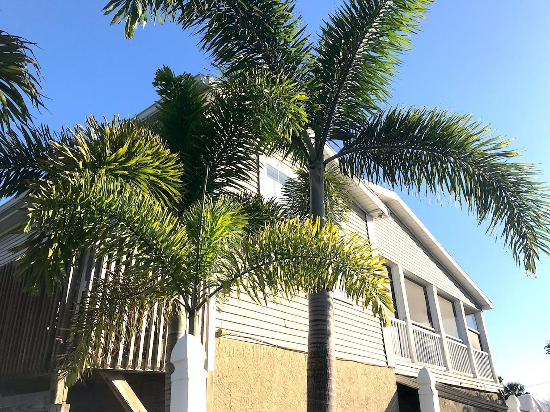 Siesta Key Waterfront Home Exterior photo